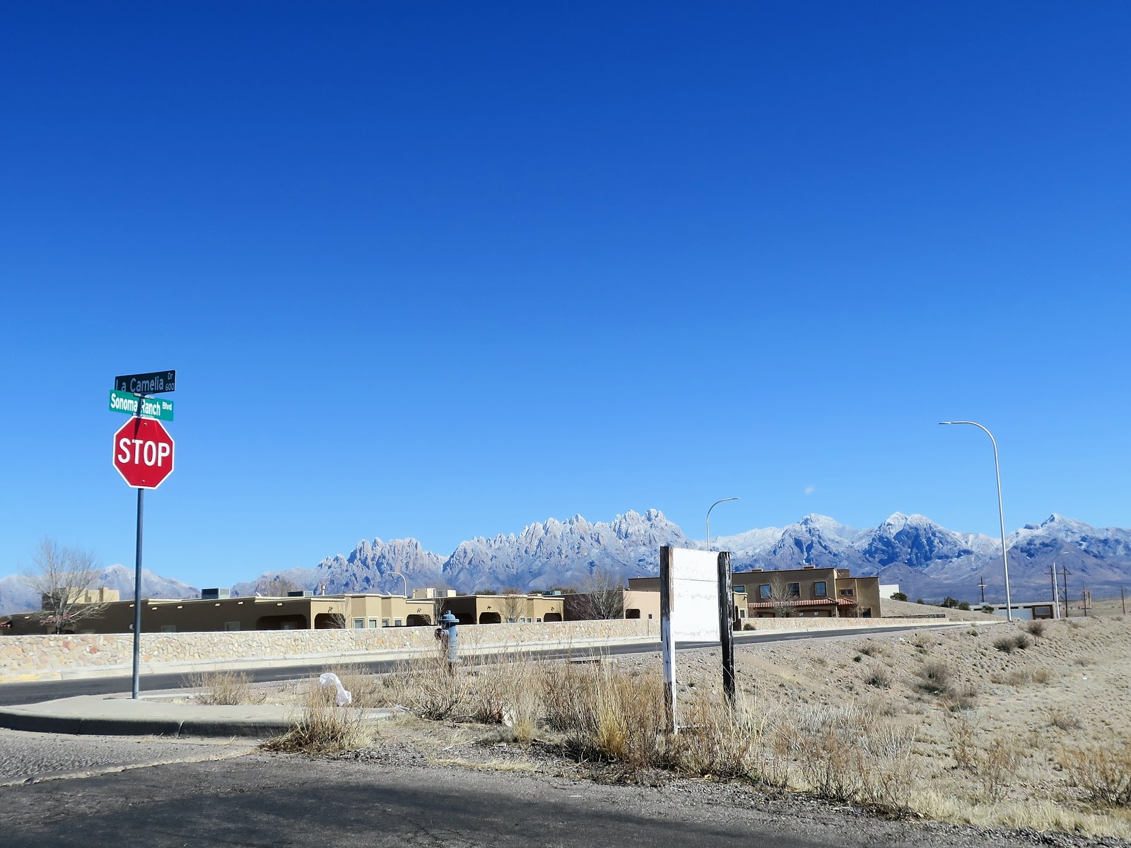 Living Rootless Las Cruces NM 2019 Organ Mountains Snow Dust