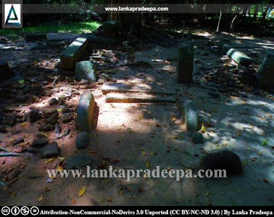 Hidden ruins at Ovagiriya, Ampara