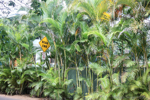 random,north shore,oahu,hawaii,beach house,beach shack,végétation tropicale,palmiers,bananiers,