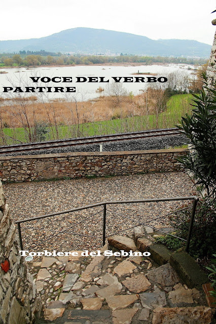 COSA VEDERE VICINO AL LAGO D'ISEO: LE TORBIERE DEL SEBINO