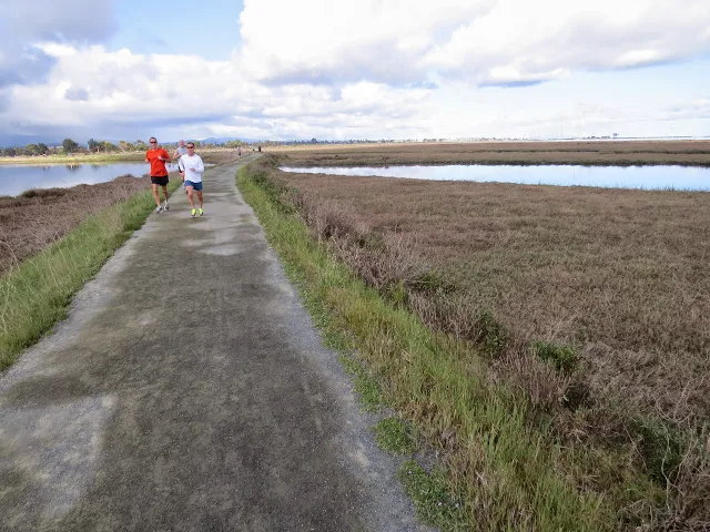 Bay Area Birding: Palo Alto Baylands - trail