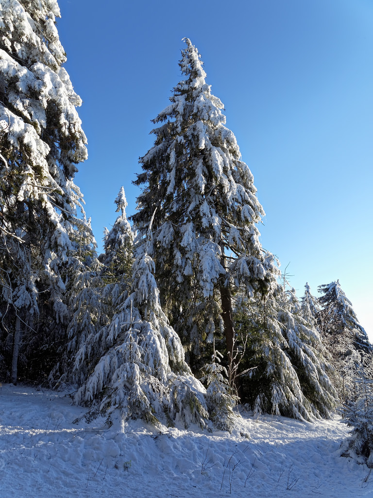 feldberg taunus schnee woodenbild ) feldberg taunus schnee woodenbild )
