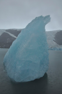 Image of polar bear shaped ice