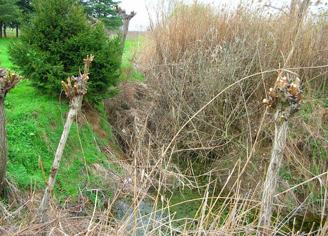 Fig. 24 - Cambiamento delle pendenze nei tratti costieri con la creazione di un gradino