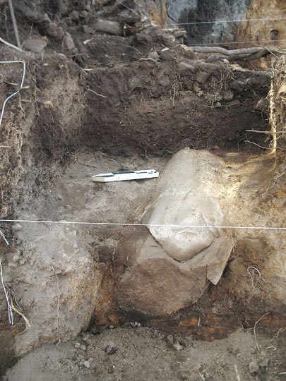 Mammoth tusk used as offering during pre-Hispanic times discovered in Mexico Mammoth tusk used as offering during pre-Hispanic times discovered in Mexico
