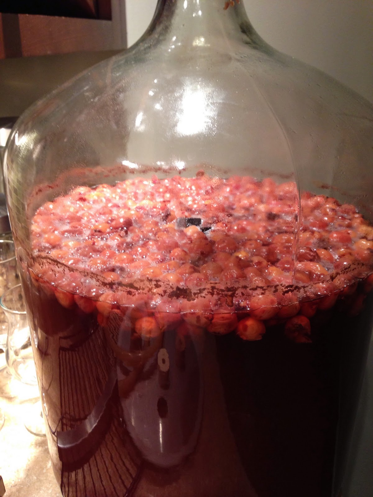 Microbus Brewery Wisconsin Belgian Red New Glarus