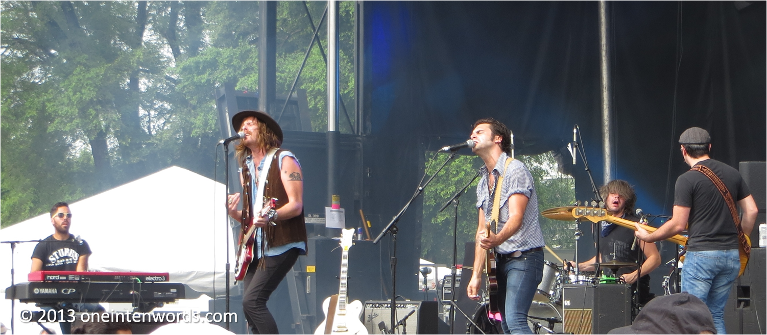 one in ten words TURF Matt Mays