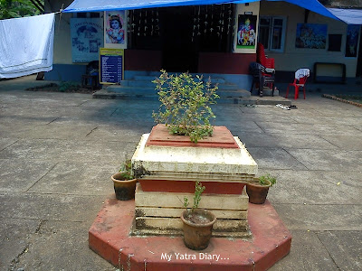 Tulsi plantation in ISKCON temple in Kannur, Kerala