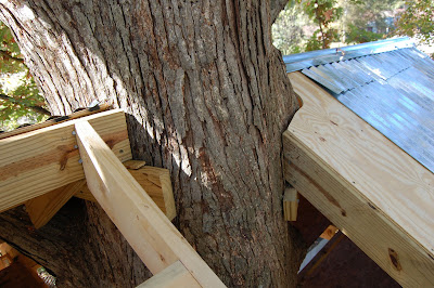 tree house plans