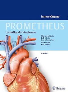 Prometheus - LernAtlas der Anatomie: Innere Organe