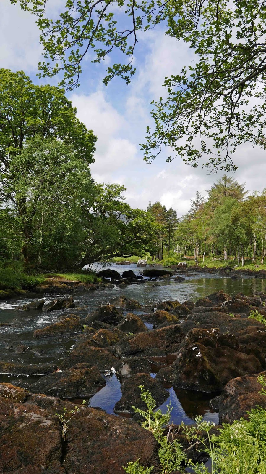 Coast, Cliffs and Chocolate. The Iveragh Experience to