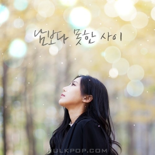 Genius D – 남보다 못한 사이 – EP