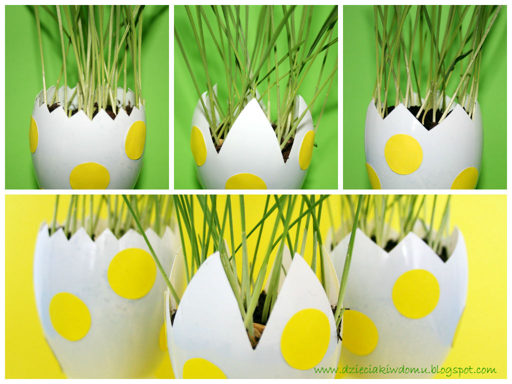 wielkanocny owies w ekodoniczkach - kreatywna zabawa dla dzieci wielkanocny owies w ekodoniczkach - kreatywna zabawa dla dzieci