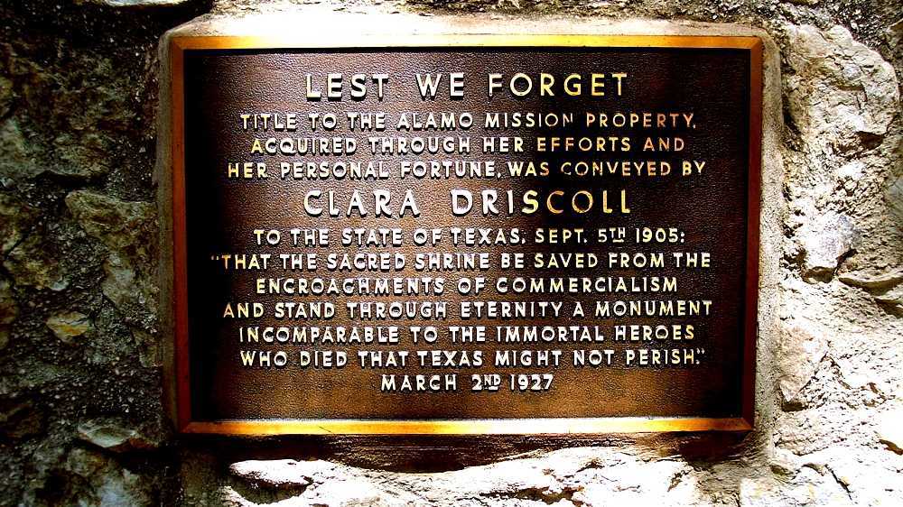 Clara Driscoll (philanthropist)