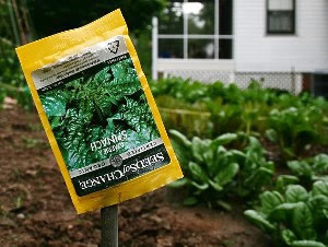 Plantas y Flores, plantas especies : jardines