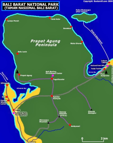 Konservasi Bali Barat: Taman Nasional Bali Barat