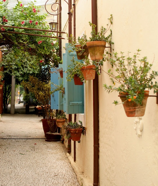 30 Hanging and wall garden ideas for your decor - Diy Fun World