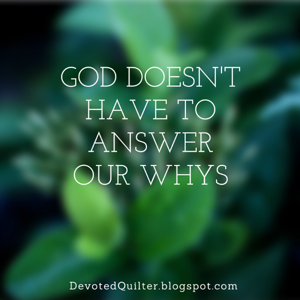 The Adventures Of Johnny Northside Why Is It So Hard To Catch