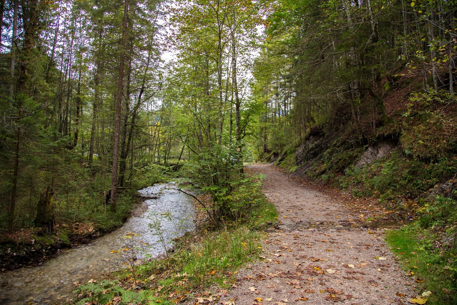 Rundweg Rothelmoos Alm Weitsee Wandern Ruhpolding