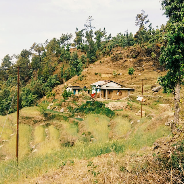 Local houses in Pithoragarh city, Uttarakhand Local houses in Pithoragarh city, Uttarakhand