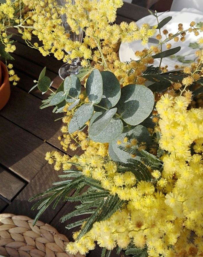 Mesa primaveral con mimosas 