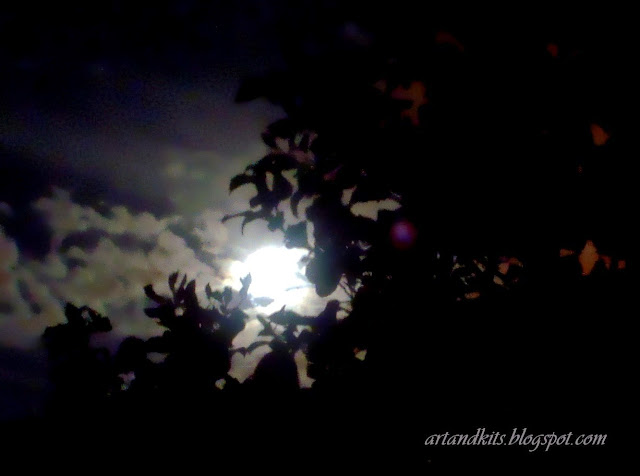 Até a noite gosta de luz... e talvez por isso, tanto aprecia, o lado brilhante da Lua por companhia... ou simplesmente, acende as estrelas, para trazer à noite, aquilo que tanto lhe falta... apenas e só... um pouco mais de dia... / Even the night, likes the light... and perhaps that's why it appreciates so much, the brighter side of the moon, for company... or simply, lights the stars, to bring to the night, what it lacks most... a little daylight...