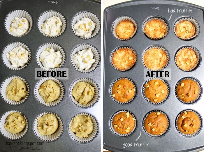 Spusht | Flat and dome shape muffin | Before and after baking