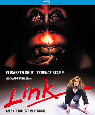 Link 1986 Blu Ray