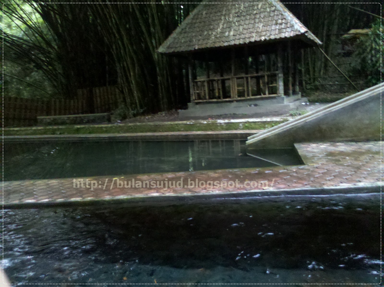 Bulansujud Wisata Alam Hutan Bambu Lumajang Bulansujud Wisata Alam Hutan Bambu Lumajang