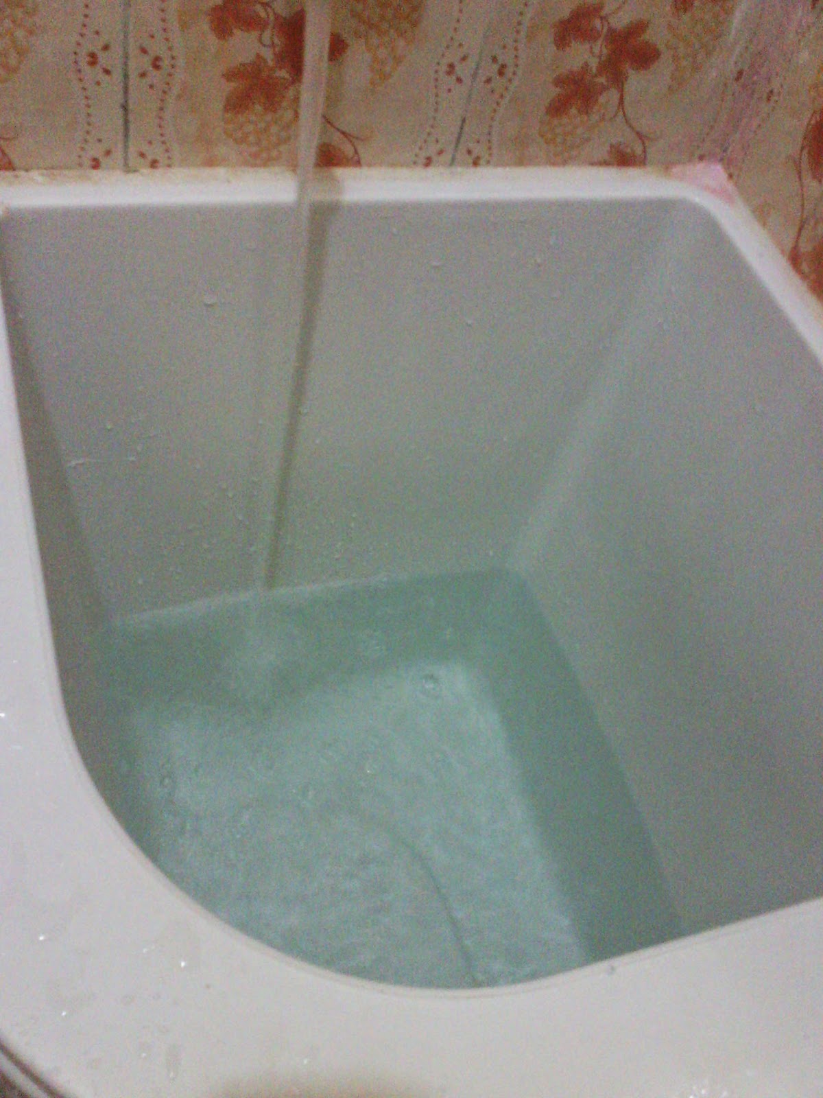 Sidik Blog: Tips - trik membersihkan bak mandi menggunakan SITRUN (SUPER BERSIH)