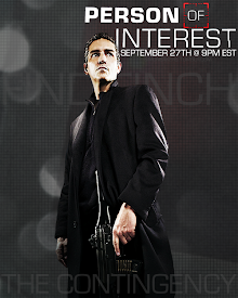 Person of Interest (TV Series 2011)