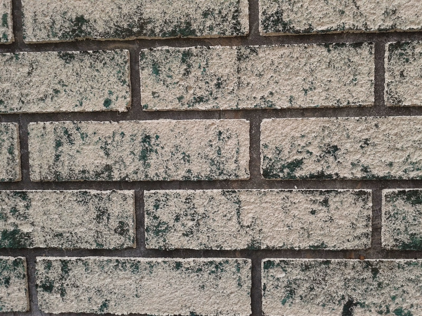 Duvar Kaplama Panelleri Dogal Ve Yapay Dekoratif Kaplamalar Eylul 2014