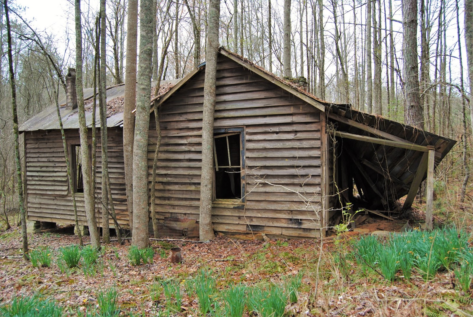 Remnants of Southern Architecture Appalachian Home, Pickens County, GA