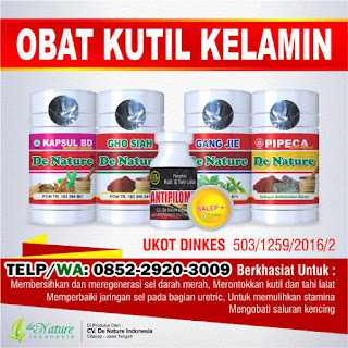 Obat Kutil Kelamin Obat Kutil Kelamin