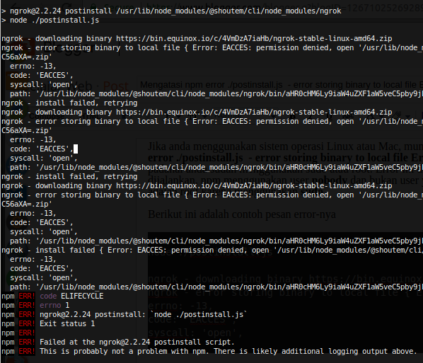 Mengatasi npm error ./postinstall.js  - error storing binary to local file Error: EACCES: permission denied