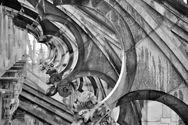 _DSC0581%2B%25282%2529.JPG