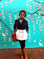 birds flying high america\'s got talent 2