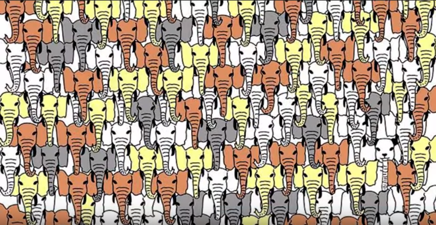 Tebak Gambar Dari Paling Mudah Sampai Paling Susah Citangkolo