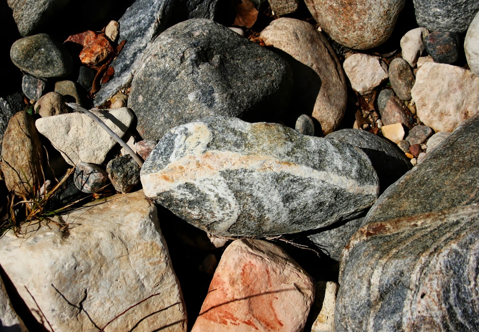 Rocks of Wyoming More rocks I've found in Wyoming