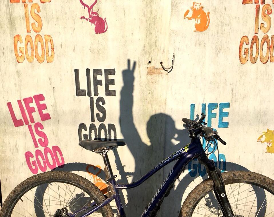 FitBits | South Downs Way Winchester to Petersfield - Tess Agnew fitness blogger FitBits | South Downs Way Winchester to Petersfield - Tess Agnew fitness blogger