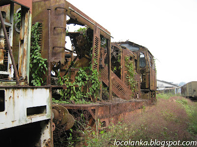 Y1-locolanka.blogspot.com+%252812%2529.jpg