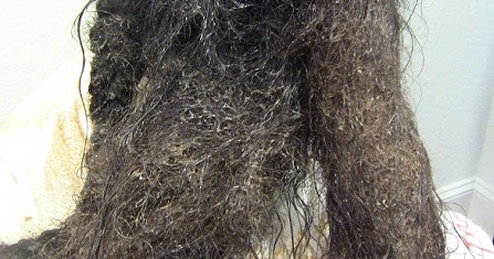 Tangled Hair Techs: Let's work together to save it…...Hair Has A Voice!