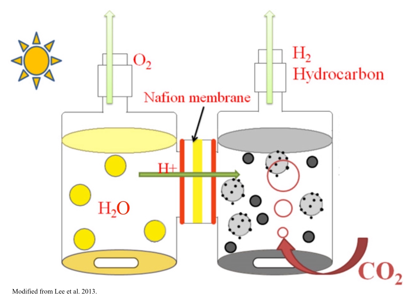 In the Company of Plants and Rocks Photosynthesis to the Rescue?