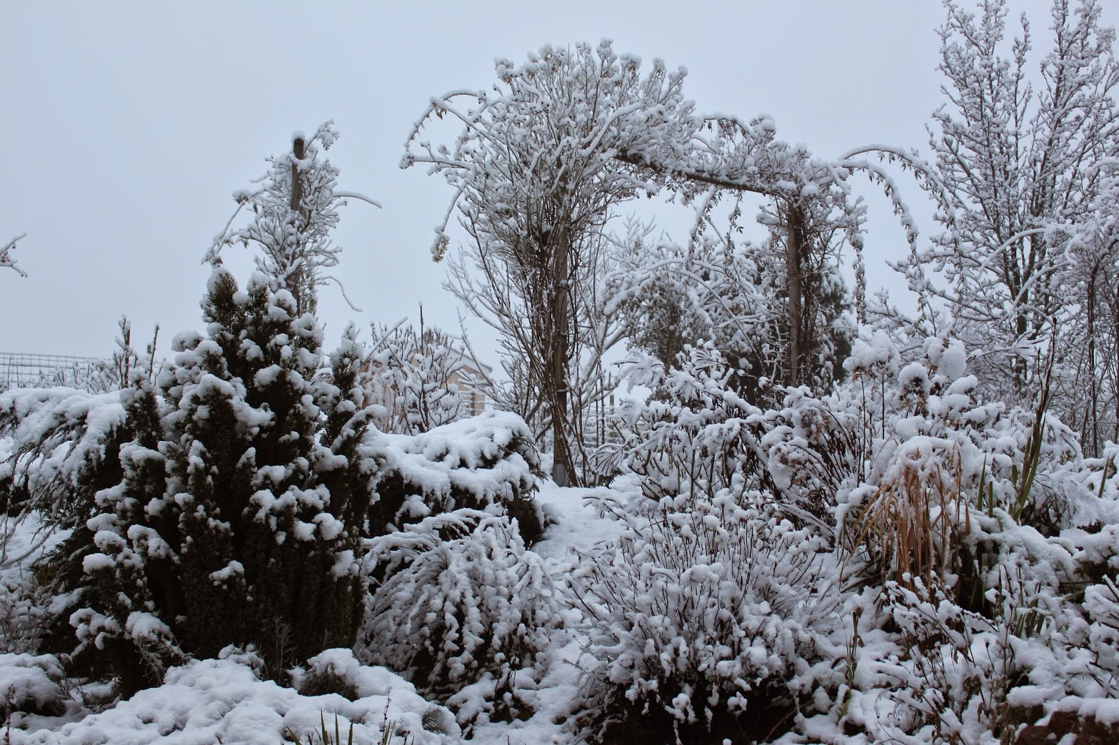 Le Jardin De Darius Retrospective Mars 2017