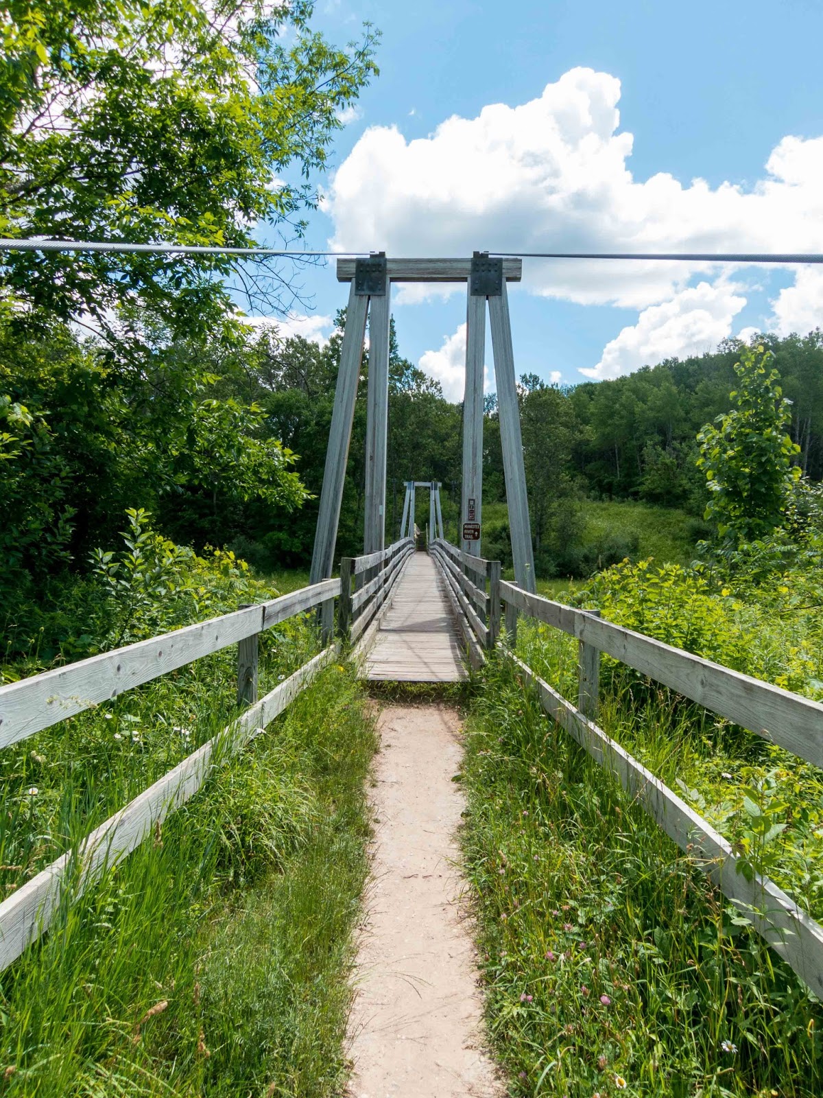 Eric's Hikes Manistee River Trail/NCT Loop Day Hike