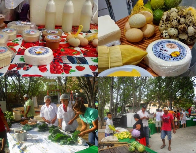 I Feira da Produção da agricultura Familiar foi sucesso total em Santa Cruz