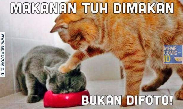 400 Koleksi Gambar Hewan Lucu Komen Fb Gratis Terbaru Gambar Hewan