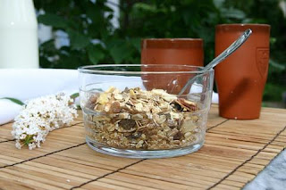 oatmeal obat kolesterol alami oatmeal obat kolesterol alami