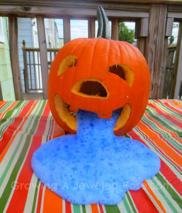 Erupting Pumpkins Experiment erupting pumpkins