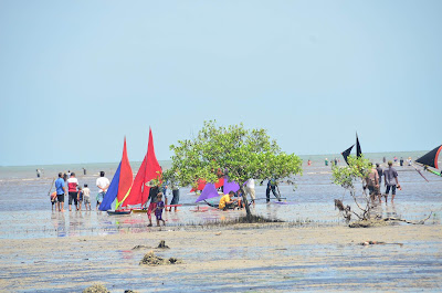 Pantai Tanjung Senekip Teluk Pambang Wisata Bengkalis